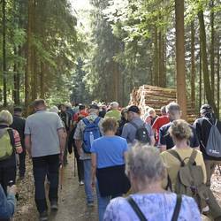 Wanderer im Wald