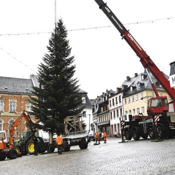 stellen weihnachtsbaum markt