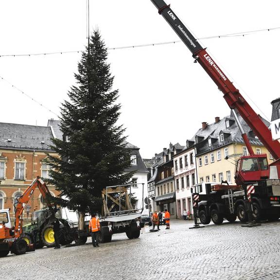 stellen weihnachtsbaum markt