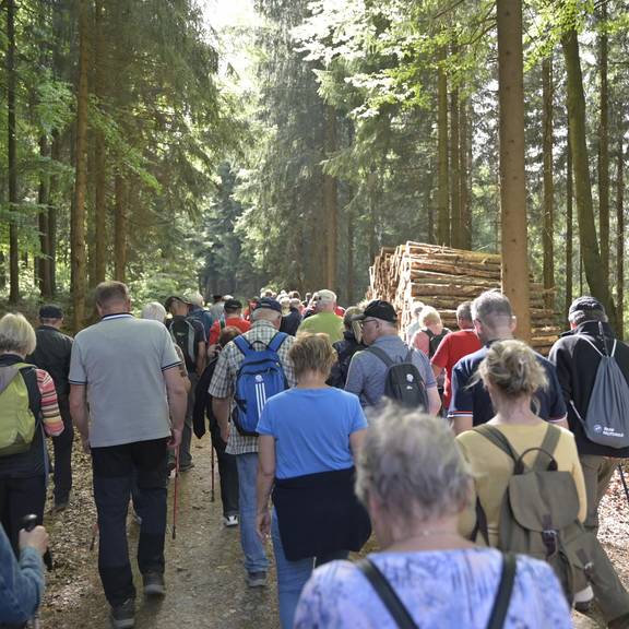 Wanderer im Wald